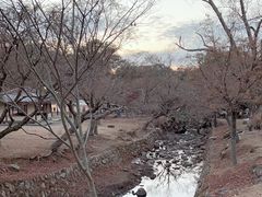 -奈良公园