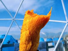 -野鸭湖国家湿地公园