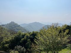-莫干山风景区
