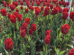 -玄武湖景区-情侣园游乐场