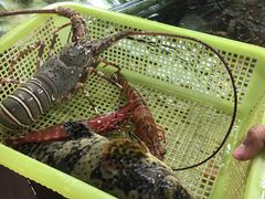 -班赞海鲜市场