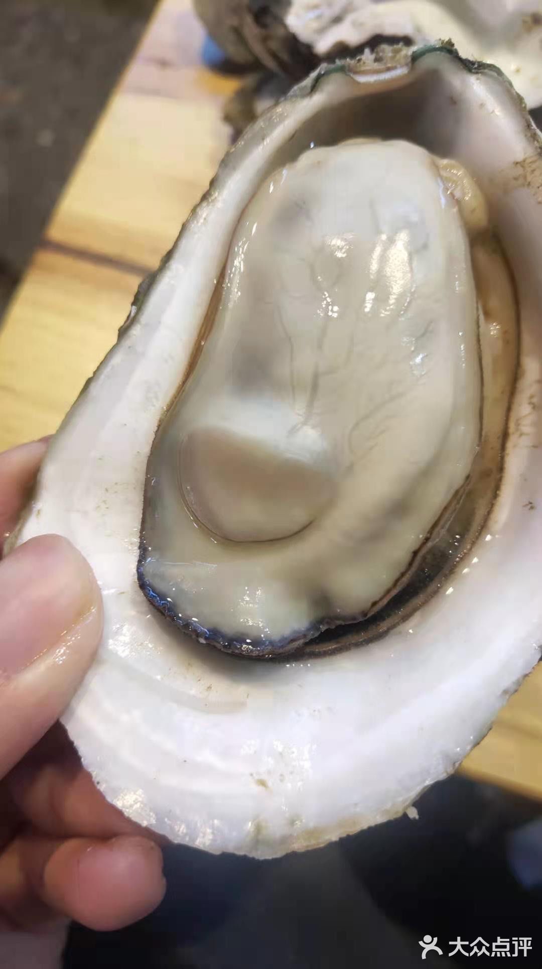 巴掌大的生蚝04一口下来都是汁水