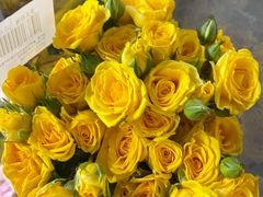 -循礼门鲜花花市(武汉循礼门店)