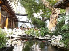 -鲤院·新中式美学·庭院餐厅(夫子庙店)