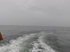 -日照世帆赛基地