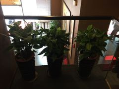 -迈格笙SPA·影院式足道·采耳(金桥店)