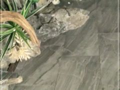 -滕头生态酒店(奉化店)