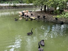 -黔灵山公园