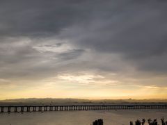 -宝安西湾红树林湿地公园