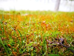 -艾溪湖湿地公园