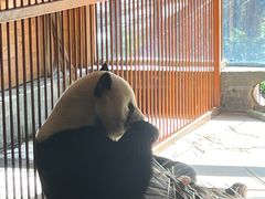 -云南野生动物园