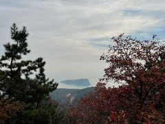 -棒棰岛宾馆景区