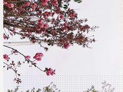 -茯茶镇