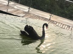 -行者书屋大堂吧 ·下午茶(南京圣和府邸酒店)