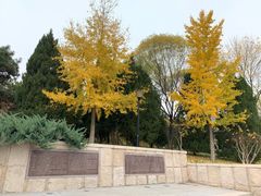 -玲珑塔公园