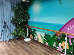 -呼拉汇舞蹈生活馆 Hawaii Hula&Tahiti Dance Studio