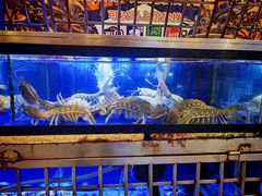 -两兄弟Song Pee Nong(2号店)