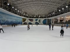 -世界之窗阿尔卑斯冰雪世界