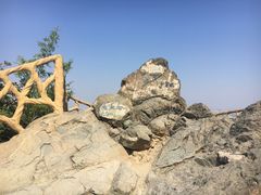 -北京西山国家森林公园