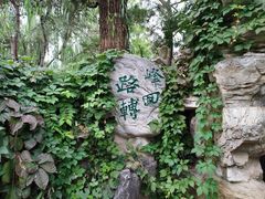 -陶然亭公园