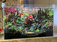 -荔湾足浴·按摩·SPA会所(龙华店)