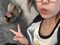 -浙江万里学院(回龙校区)