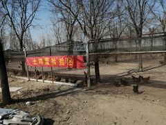 -甜心庄园·甜心草莓采摘园(西青中北店)