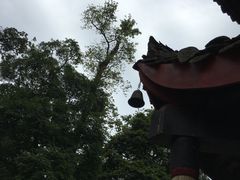 -峨眉山报国寺