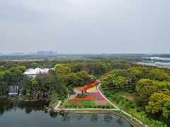 -上海鲜花港