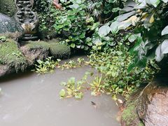 -钦善斋(武侯祠店)