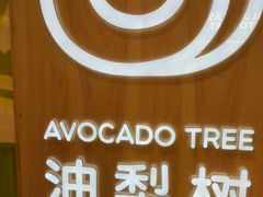 -油梨树AVOCADO TREE(嘉里中心店)