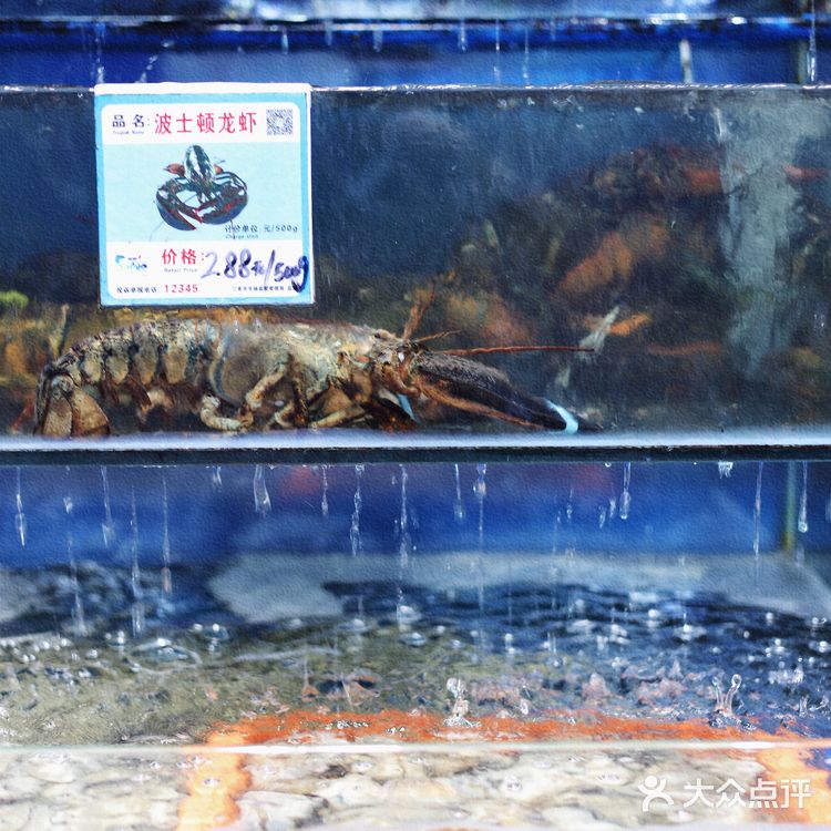 打卡海棠湾海鲜餐厅：小海豚