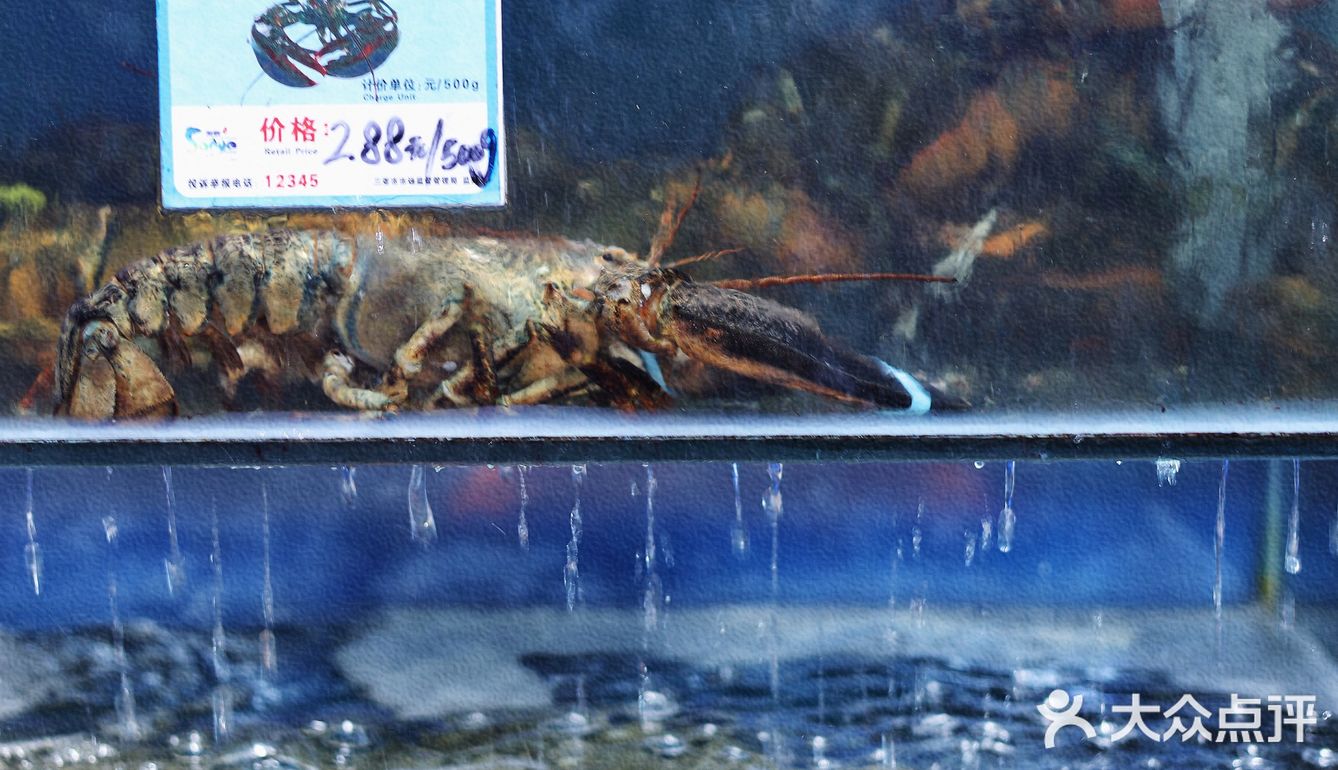 打卡海棠湾海鲜餐厅：小海豚