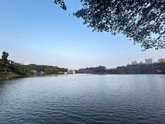 -广州雕塑公园