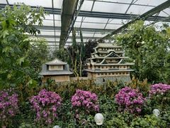 -南宫五洲植物乐园