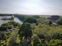 -大湾区中央湿地公园