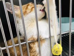 -申普宠物医院·眼科·心内科·影像科(普陀分院)