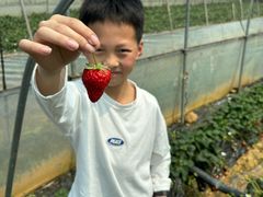 -铁山坪森林公园