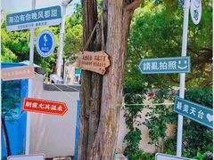 -八大关景区