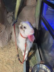 -酷嗒动物文化乐园(cutezoo西溪乐天城店)