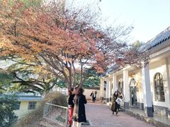 -西安市纺织公园