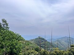 -莫干山风景区