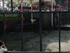 -福州动物园