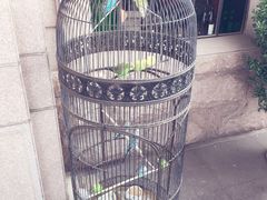 栈桥王子酒店(栈桥王子饭店)-老味道民宿(栈桥店)