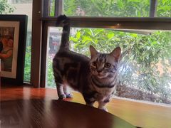 -咖法森林·咖啡  酒吧(天河店)