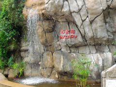 -九龙公园