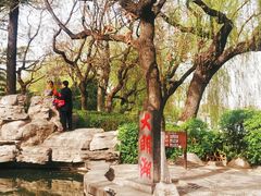 -济南大明湖景区