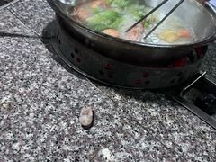 -金瑶池·猪肚鸡·传统冬瓜盅(20年白沙店)