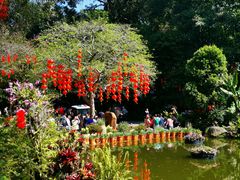 -深圳仙湖植物园