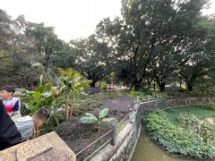 -晓港公园